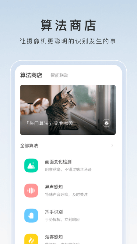 猫咪很喜欢扑人腿截图